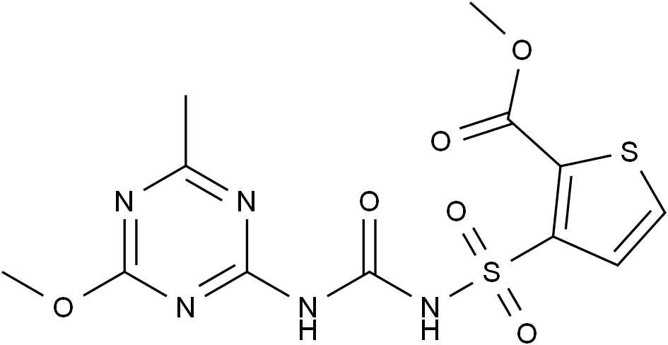 噻吩磺隆水分散粒劑